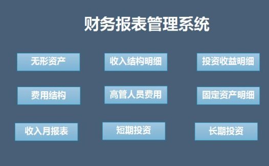 蓝色系财务报表管理系统excel表格
