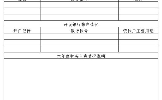 年度财务收支自查表excel模板