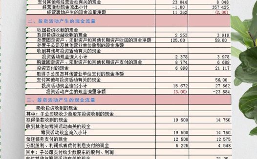 粉色企业现金流量明细表Excel模板