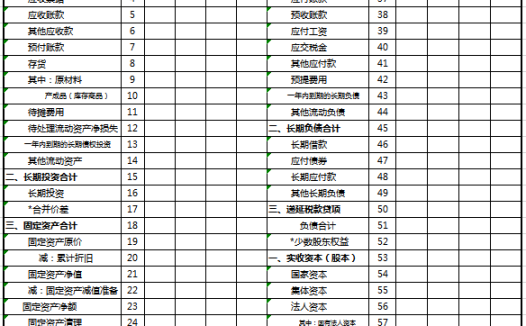预计资产负债简表excel模板