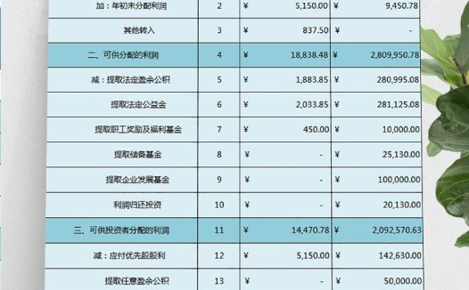蓝色企业实用利润分配表