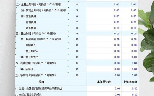 浅蓝色企业利润常用表