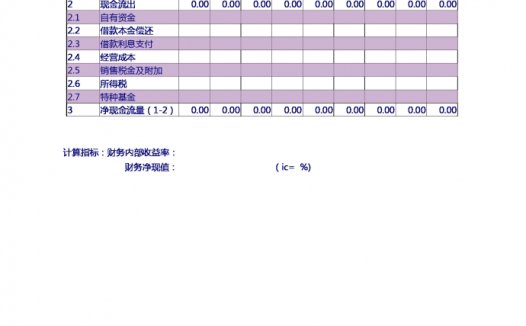 现金流量表（自有资金）Excel模板