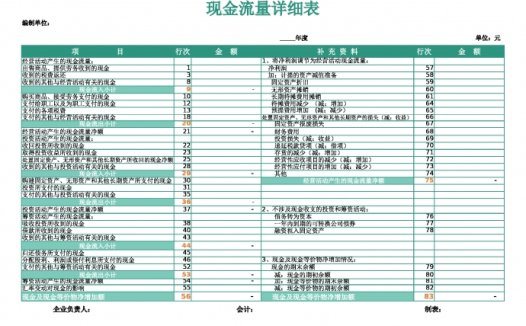 现金流量详细表Excel模板