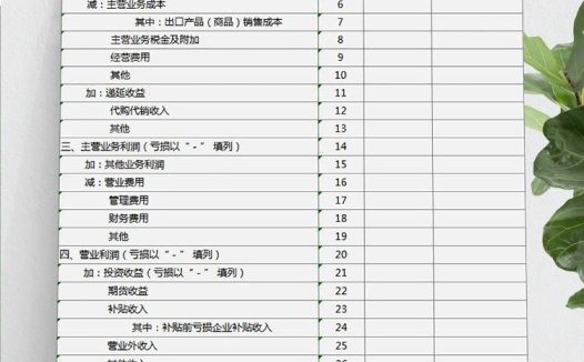 灰色一般企业利润详细表模板
