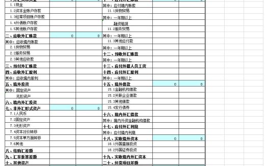 外汇收支情况表excel模板