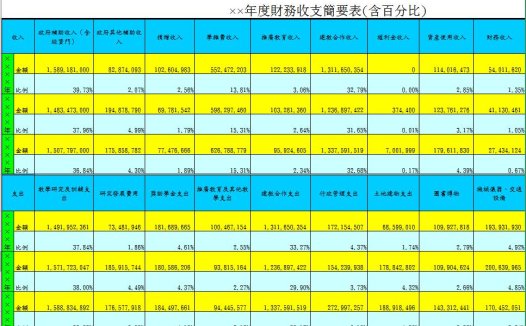 大学年度财务收支简要表