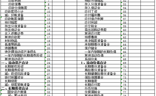保险业资产负债表excel 模板