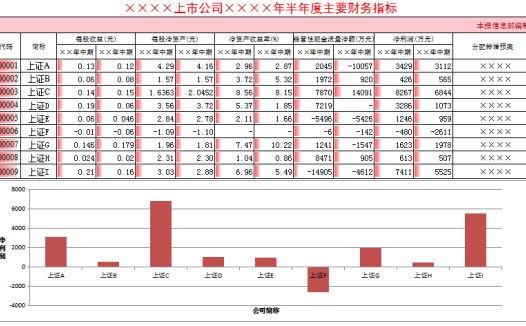 半年度财务指标excel模板