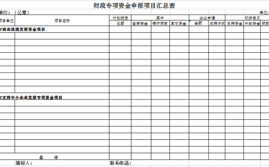 财政专项资金申报汇总表excel模板