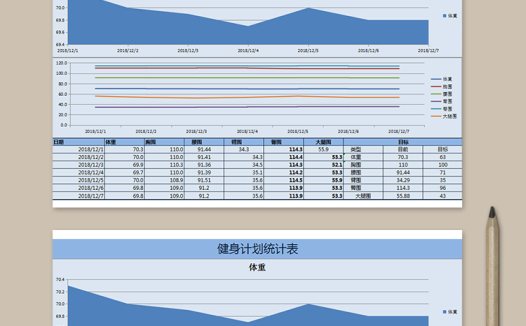 健身计划统计表