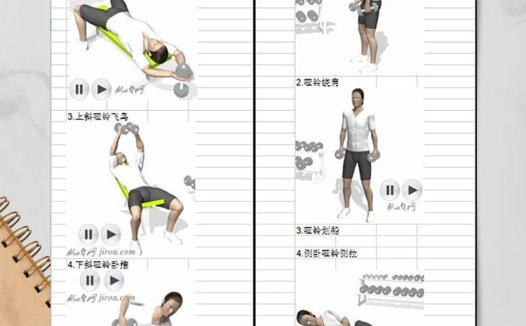 高强度家用哑铃计划