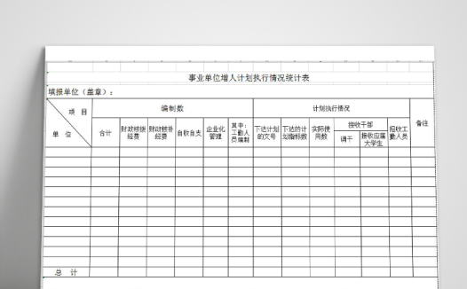 事业单位增人计划执行情况统计表