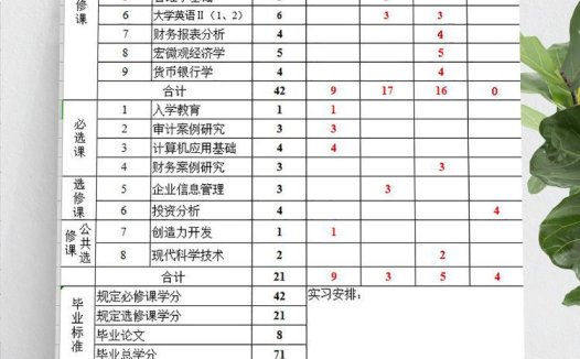 会计学专业教学计划进程表