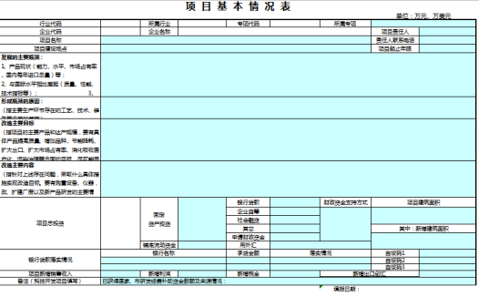 项目基本情况表excel模板