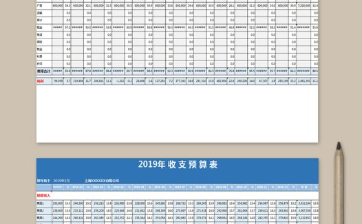 2019年收支预算表