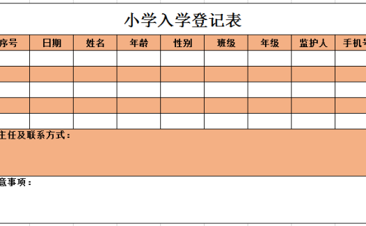 小学入学登记表excel模板