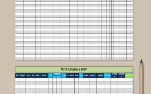 公司人事档案信息管理表