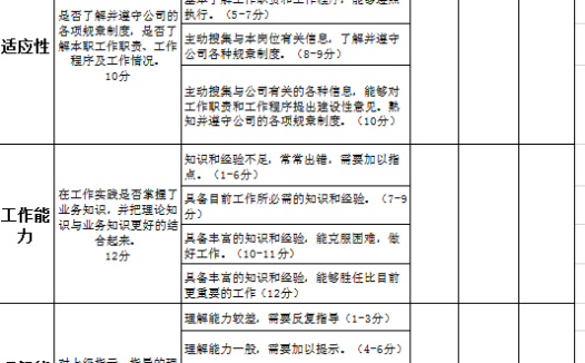 员工试用期考核excel表格