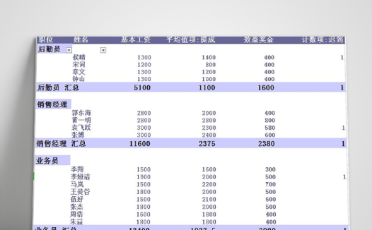 企业员工工资透视表模板