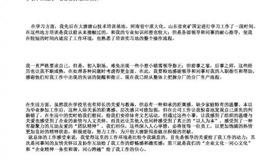 通用试用期工作总结