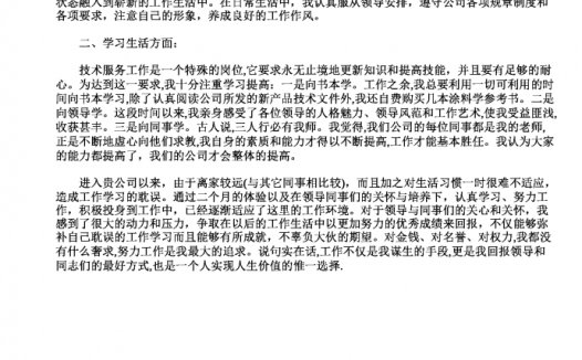 技术岗位工作报告