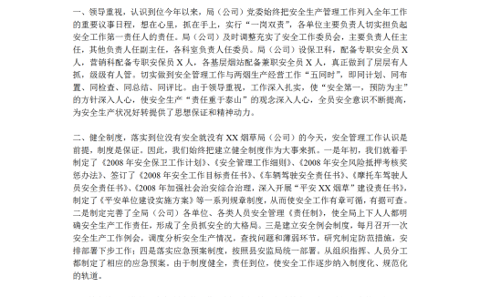 2008年保安个人年终工作总结word模板