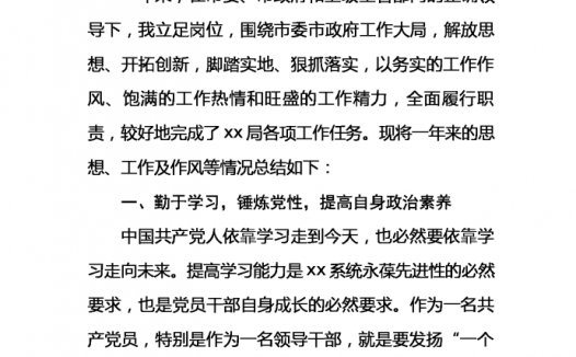 热门通用党员工作总结