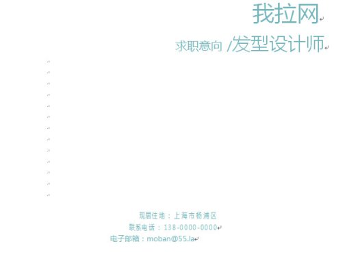 浅色系清新精美发型设计师个人简历模板