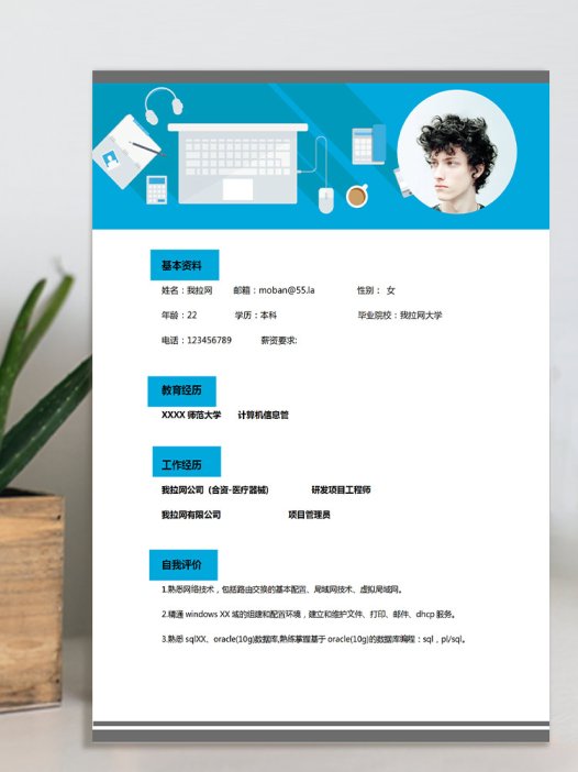 蔚蓝色大气风计算机编程师应届生简历