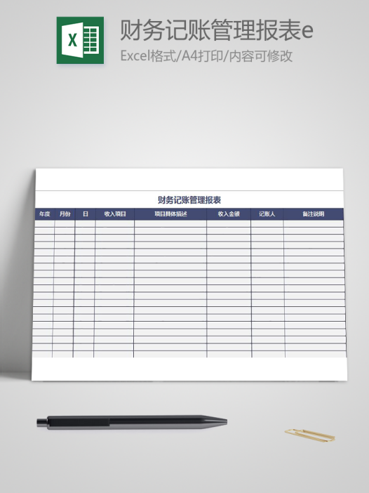 财务记账管理报表excel模板