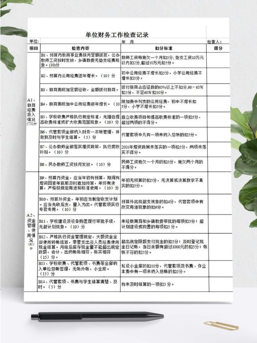 单位财务工作检查记录表模板