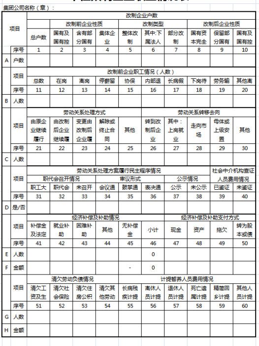 单位改制企业职工情况表excel模板