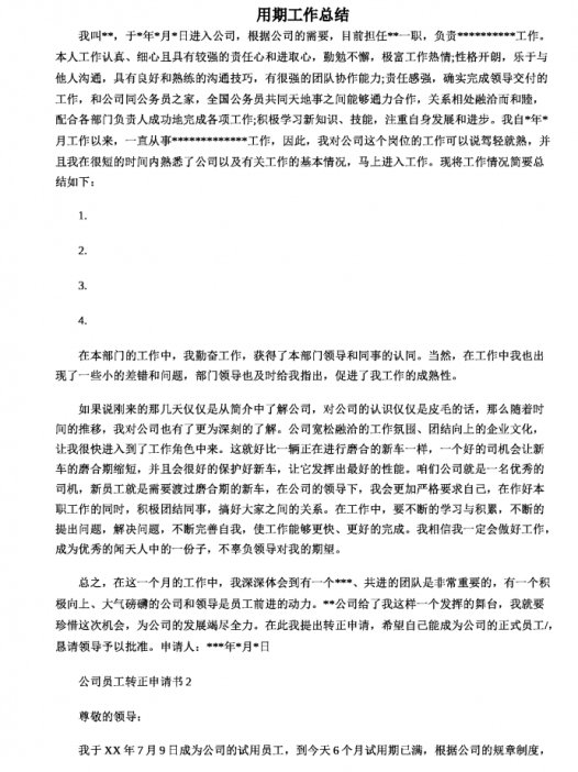 销售试用期工作总结Word模板