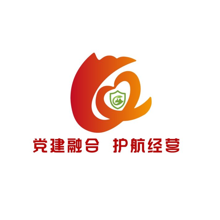 党建融合护航经营logo设计