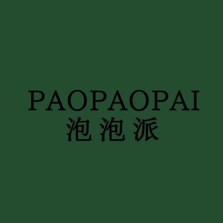 简约大气的PAOPAOPAOPAOPAI中文logo设计