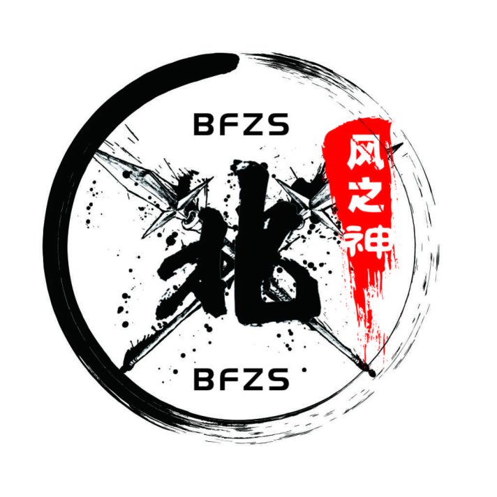 BFZFS Logo设计：现代简约风格