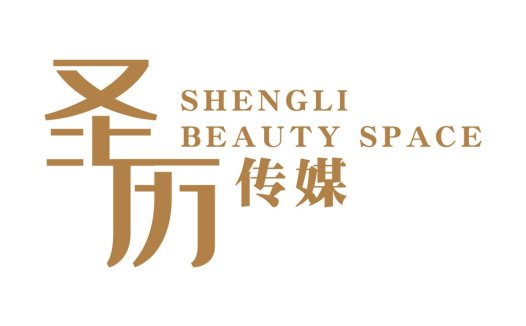 圣历美空间logo设计