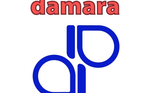 Damara Logo设计:简洁现代标识