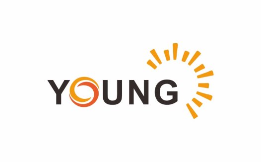 简约阳光主题的'YOUNG'字体logo设计