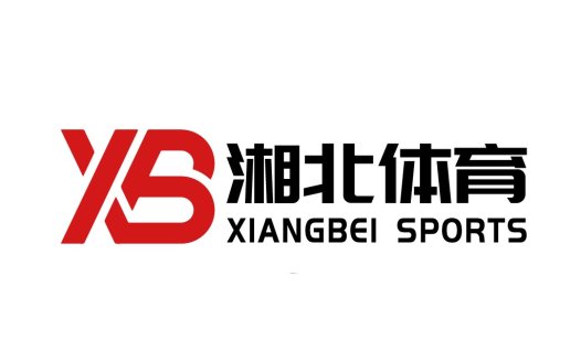XS体育logo设计