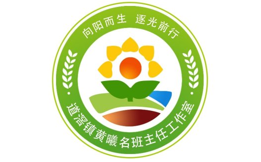 向阳而生教育工作室logo设计