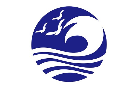 海洋与自由-简洁波浪与海鸥logo设计