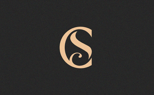优雅字母S logo设计