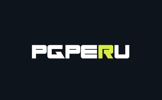 简洁现代的PGPERUU标志设计