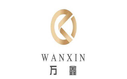 WANXININ Logo设计 - 简约高端企业标识