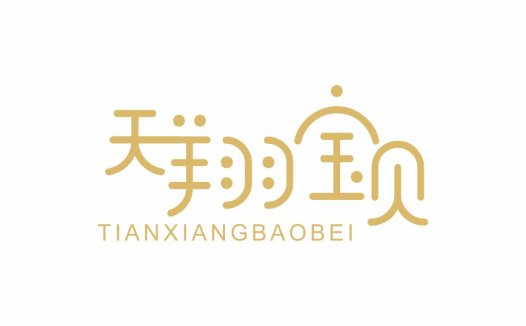 天翔宝贝logo设计
