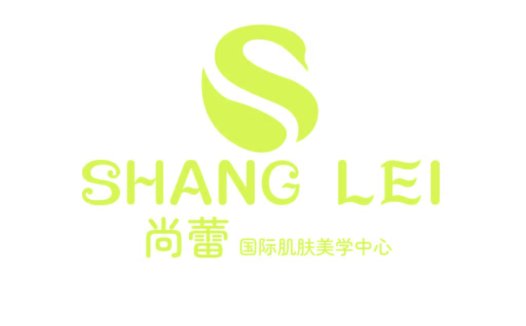 尚蕾国际肌肤美学中心logo设计