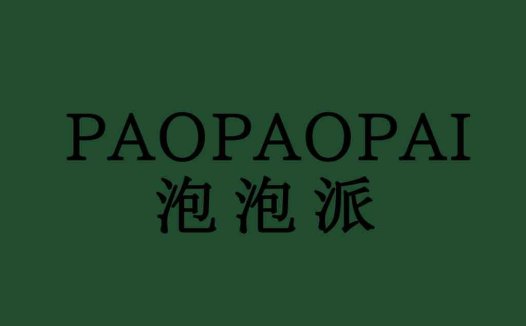简约大气的PAOPAOPAOPAOPAI中文logo设计