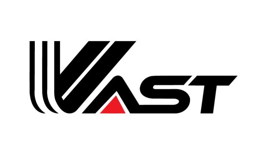 VAST logo设计:现代简洁企业标识